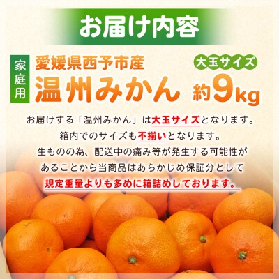 【先行受付】<愛媛県西予市産 温州みかん 大玉サイズ 家庭用 約9kg> 愛媛県産 西宇和 大玉
