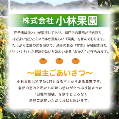 【先行受付】<愛媛県西予市産 温州みかん 大玉サイズ 家庭用 約9kg> 愛媛県産 西宇和 大玉