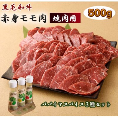 黒毛和牛 赤身モモ肉 焼肉用 500g パパイヤスパイス 3種セット 牛肉 もも肉 