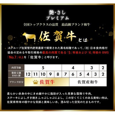 “厚切り”佐賀牛サーロインステーキ6枚(合計1800g) NK0008