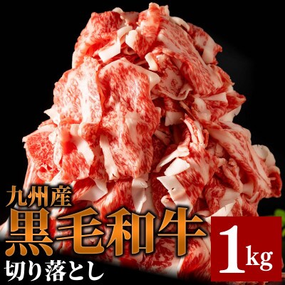 九州産黒毛和牛切落し 1.0kg(約500g×2パック) NK0037