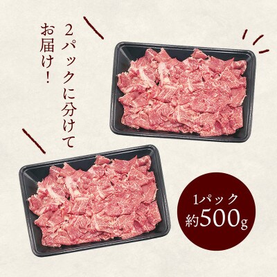 九州産黒毛和牛切落し 1.0kg(約500g×2パック) NK0037
