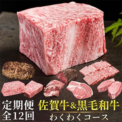 【発送月固定定期便】佐賀牛&黒毛和牛「わくわくコース」NK0016 全12回