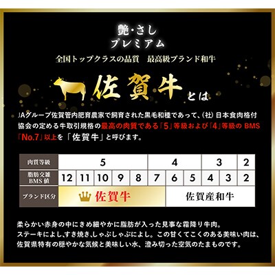 【発送月固定定期便】佐賀牛&黒毛和牛「わくわくコース」NK0016 全12回