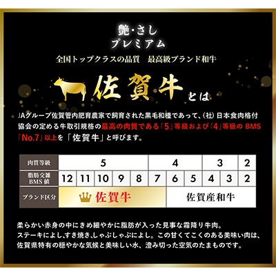 【発送月固定定期便】佐賀牛&黒毛和牛「贅沢コース」NK0017 全12回