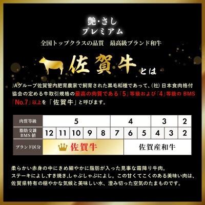 【肉の王様】佐賀牛サーロインステーキ200g×3枚 OM0001