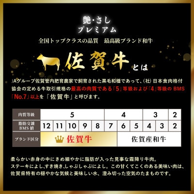 【訳あり】佐賀牛ヒレサイコロステーキ(切落し)600g OM0004