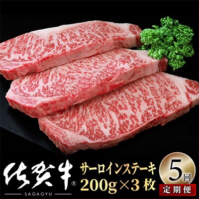 【毎月定期便】佐賀牛サーロインステーキ600g(200g×3) OM0010 全5回