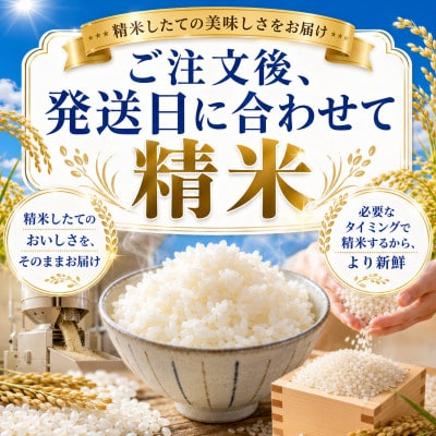 令和7年産『さがびより』白米5kg!16年連続特A評価!五つ星お米マイスター厳選!(大町町)
