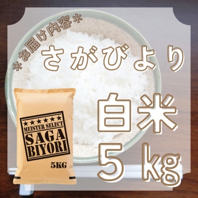 6年産『さがびより』白米5kg!14年連続特A評価!五つ星お米マイスター厳選!(大町町)