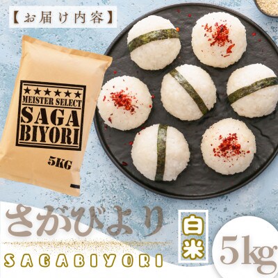 新米7年産『さがびより』白米5kg!15年連続特A評価!五つ星お米マイスター厳選!(大町町)