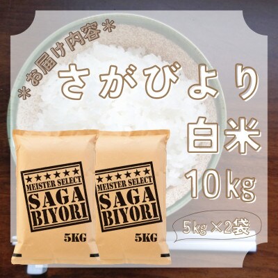 6年産『さがびより』白米10kg!(5kg×2袋)特A評価!五つ星お米マイスター厳選!(大町町)
