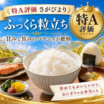 令和7年産『さがびより』白米10kg!(5kg×2袋)特A評価!五つ星お米マイスター厳選!(大町町)