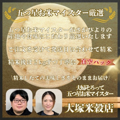 新米 令和7年産【無洗米】さがびより(真空パック)2kg×4袋【特A評価】(大町町)