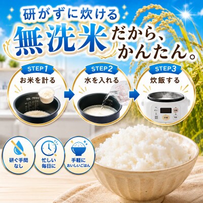 令和7年産【無洗米】さがびより3kg!16年連続特A評価!五つ星お米マイスター厳選!(大町町)