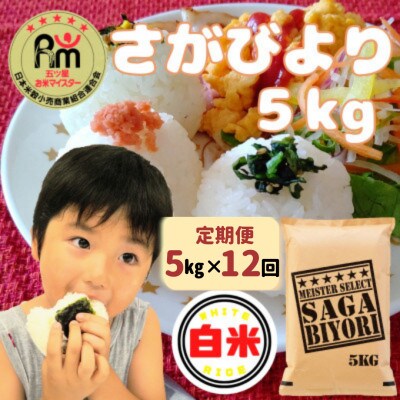 【毎月定期便】さがびより 白米5kg(大町町)全12回