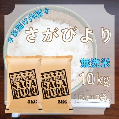 【毎月定期便】無洗米 さがびより10kg(5kg×2袋)(大町町)全6回