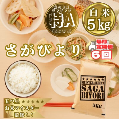 【毎月定期便】『さがびより』白米5kg(大町町)全6回