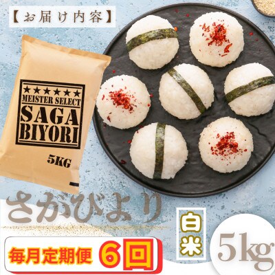 【毎月定期便】『さがびより』白米5kg(大町町)全6回
