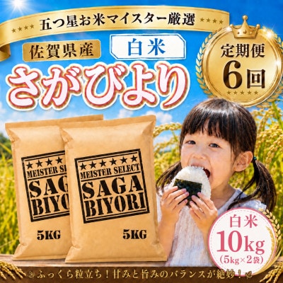 【毎月定期便】『さがびより』白米10kg(5kg×2袋)(大町町)全6回