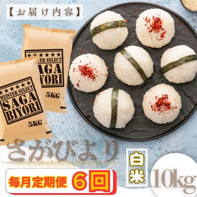 【毎月定期便】『さがびより』白米10kg(5kg×2袋)(大町町)全6回