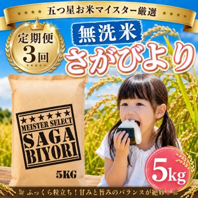 【毎月定期便】【無洗米】さがびより5kg(大町町)全3回