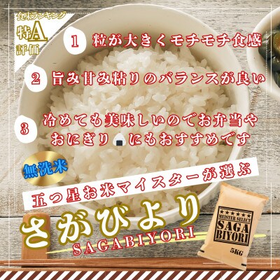 【毎月定期便】【無洗米】さがびより5kg(大町町)全6回