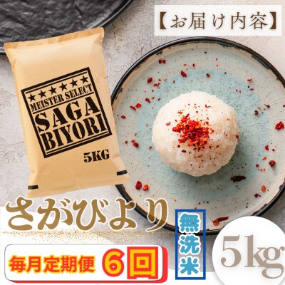 【毎月定期便】【無洗米】さがびより5kg(大町町)全6回