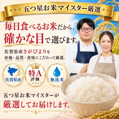 【毎月定期便】【無洗米】さがびより10kg(5kg×2袋)(大町町)全6回