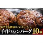 佐賀牛&さくらポーク入り手作りハンバーグ 900g(90g×10個)(大町町)
