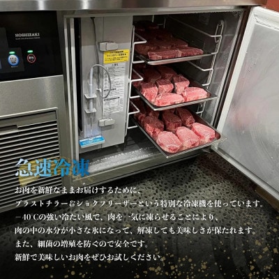 【毎月定期便】佐賀牛シャトーブリアン 約1kg(大町町)全10回