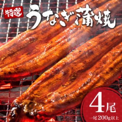 うなぎ蒲焼き 800g (200g×4尾)(大町町)