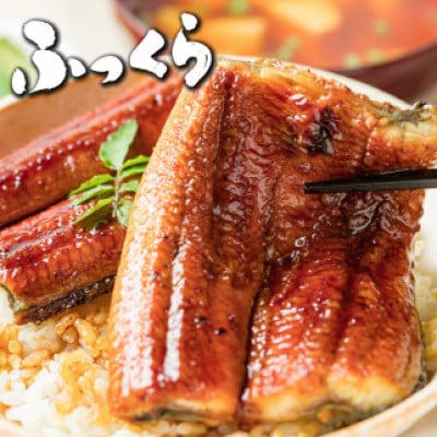 うなぎ蒲焼き 800g (200g×4尾)(大町町)