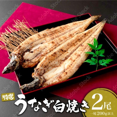 うなぎ白焼き 400g(200g×2尾)(大町町)