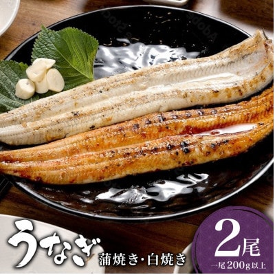 うなぎ蒲焼き 白焼き 食べ比べセット 400g(200g×各1尾)(大町町)