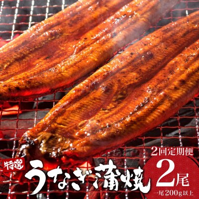 【毎月定期便】うなぎ蒲焼き 200g×2尾(大町町)全2回