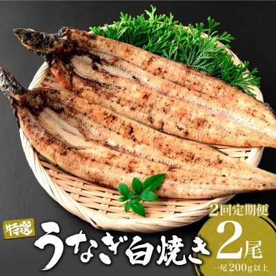 【毎月定期便】うなぎ白焼き 200g×2尾(大町町)全2回