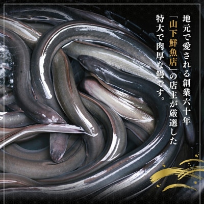 【毎月定期便】うなぎ蒲焼き 白焼き 食べ比べセット 200g×各1尾(大町町)全2回