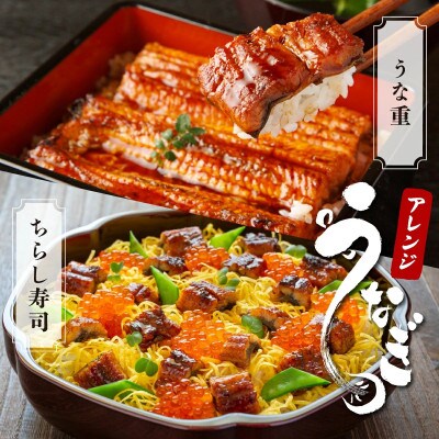 【毎月定期便】うなぎ蒲焼き 白焼き 食べ比べセット 200g×各1尾(大町町)全2回