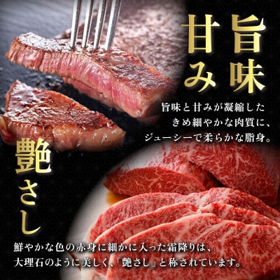 丁寧な手切り仕上げ♪佐賀牛シャトーブリアンステーキ200g・ヒレステーキ400gセット(大町町)