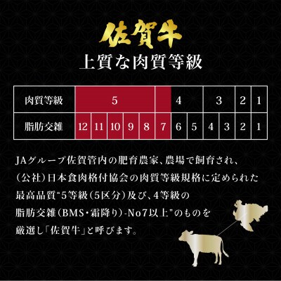 【発送月固定定期便】佐賀牛シャトーブリアンステーキ2枚&ヒレステーキ3枚セット(大町町)全5回