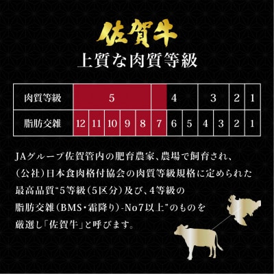 【毎月定期便】佐賀牛シャトーブリアンステーキ 200g×3枚(大町町)全12回
