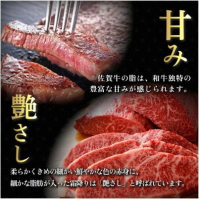 【毎月定期便】佐賀牛シャトーブリアンステーキ 200g×5枚(大町町)全6回