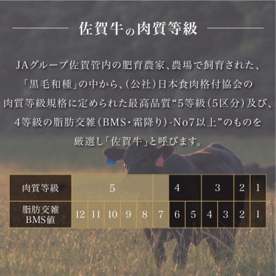 佐賀牛上カルビ 1kg (500g×2パック)(大町町)