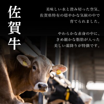 佐賀牛ハンバーグ 1.8kg(150g×12個)(大町町)