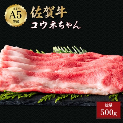 佐賀牛コウネちゃん500g(大町町)