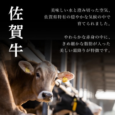 佐賀牛はしっこちゃん 500g (ロース・カルビ)(大町町)
