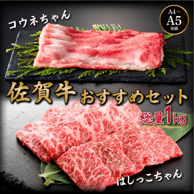 佐賀牛おススメセット(コウネちゃん・はしっこちゃん) 各500g(大町町)