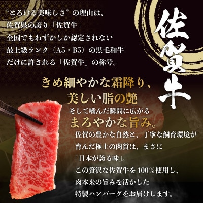 佐賀牛ハンバーグ 5個 ジャポネソース付き 25gf‐0050(大町町)
