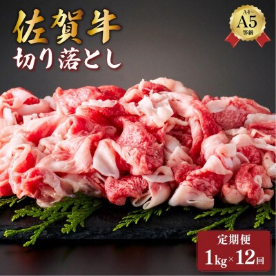 【毎月定期便】佐賀牛切り落とし 1kg(500g×2パック)(大町町)全12回